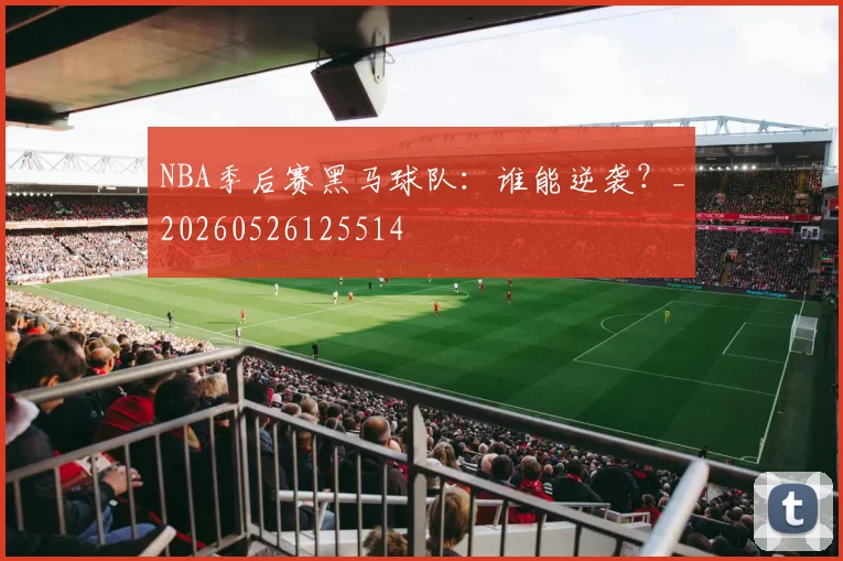 NBA季后赛黑马球队:谁能逆袭?_20260526125514
