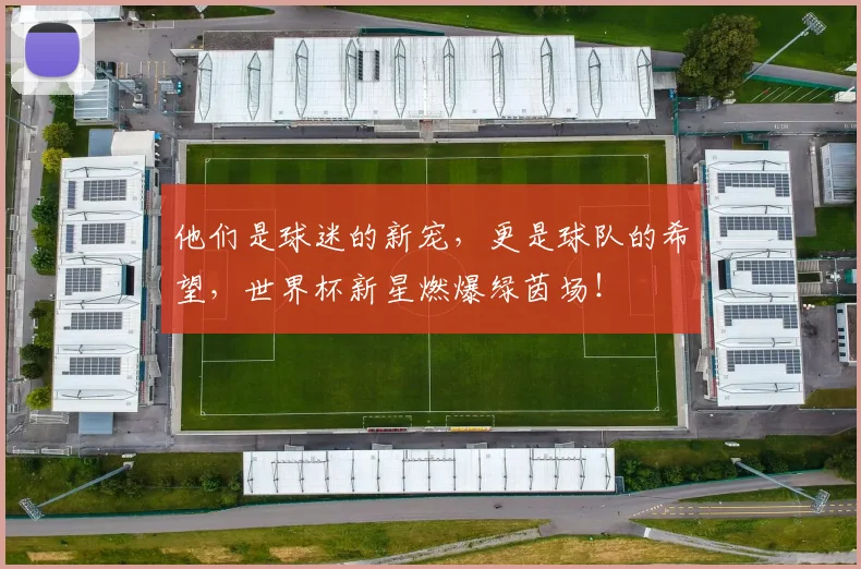 他们是球迷的新宠，更是球队的希望，世界杯新星燃爆绿茵场！